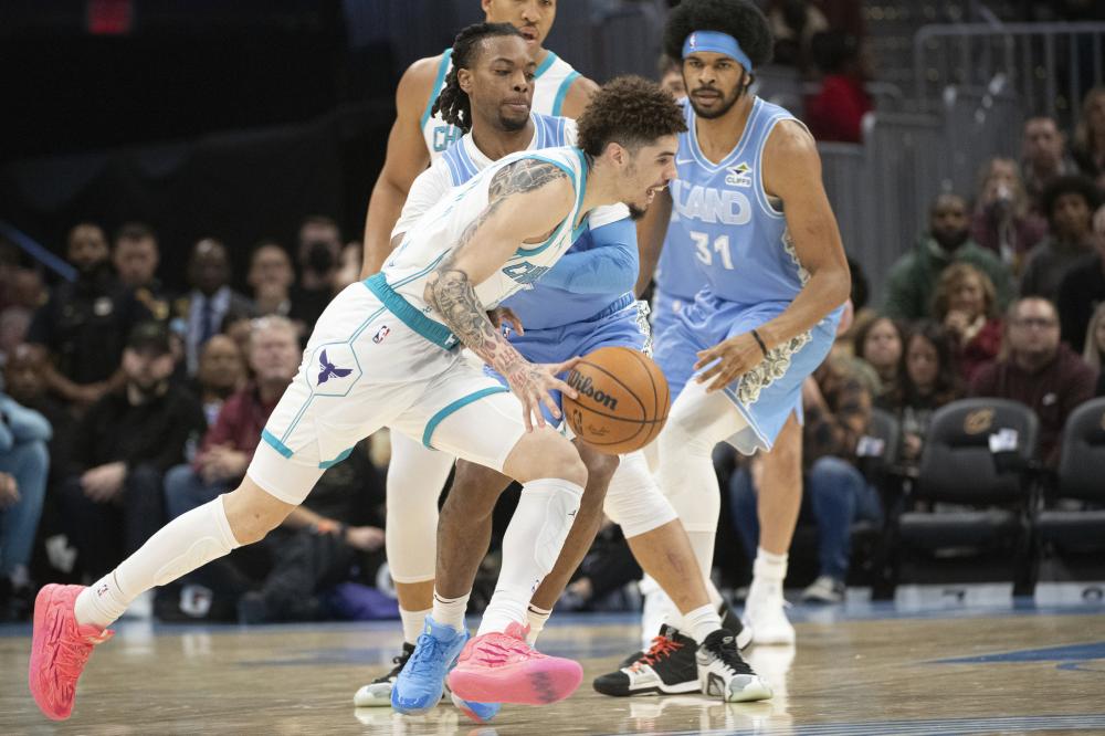 他们凭借稳 他们凭借稳